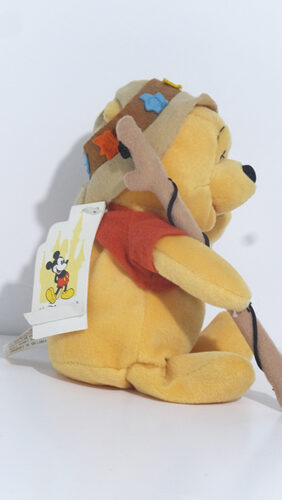 Disney Lake resort Pooh Plush image 2