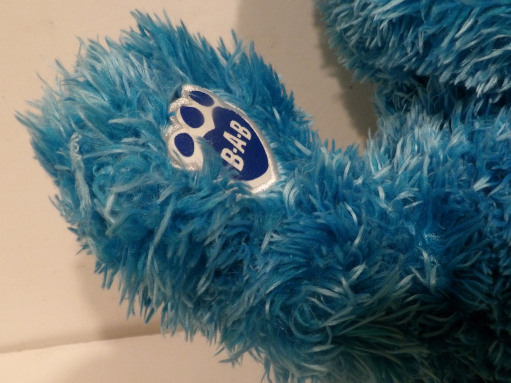 Build-A-Bear Workshop Cookie Monster Plush Toy | Sesame Street Collectable Soft Toy | 2017