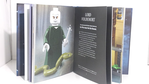 LEGO Harry Potter The Magical Guide to the Wizarding World image 1