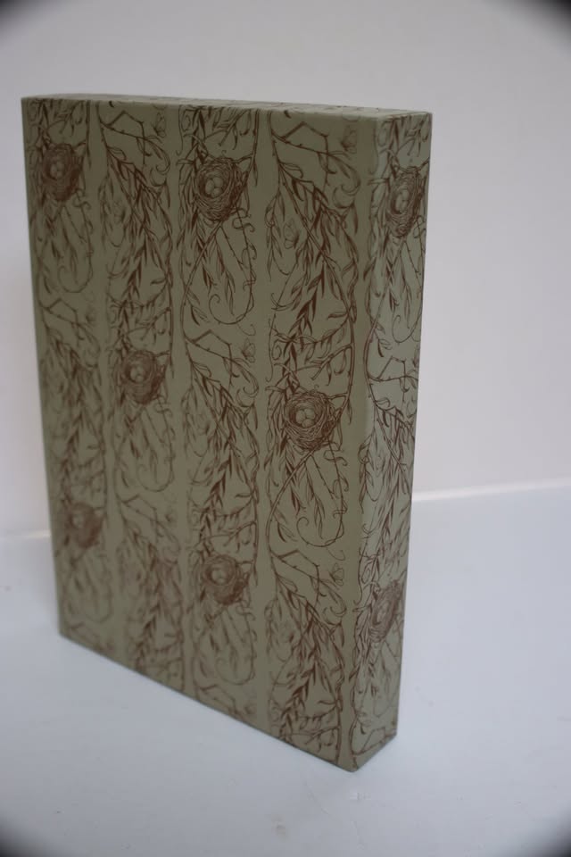 The Wind in the Willows, Illustrated, Charles Van Sandwyk, Folio Society With Case, image 5