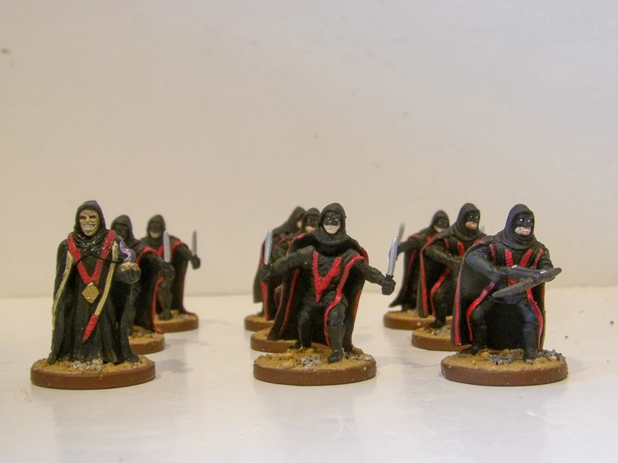 Lost Coast Expansion - Painted Plastic Miniatures - Pathfinder Battles - The Lost Coast - Perfect Condition image 8