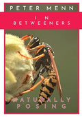 In-Betweeners - Paperback -  Peter Menn - Great Condition image 0