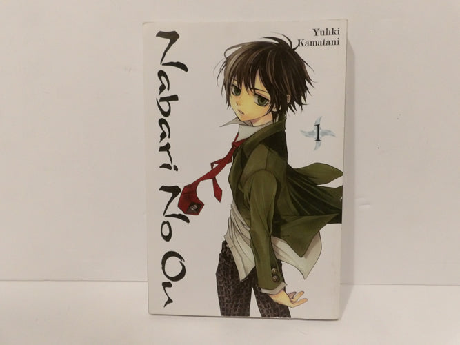 Nabari No Ou: Vol 1-Yuhki Kamatani - Older Teen - Yen press - Kamatani - Great image 0