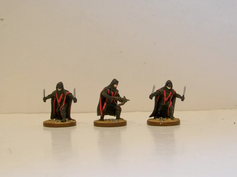 Lost Coast Expansion - Painted Plastic Miniatures - Pathfinder Battles - The Lost Coast - Perfect Condition image 3